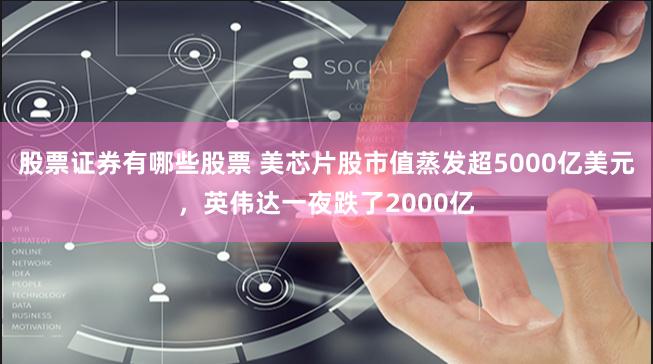 股票证券有哪些股票 美芯片股市值蒸发超5000亿美元，英伟达一夜跌了2000亿