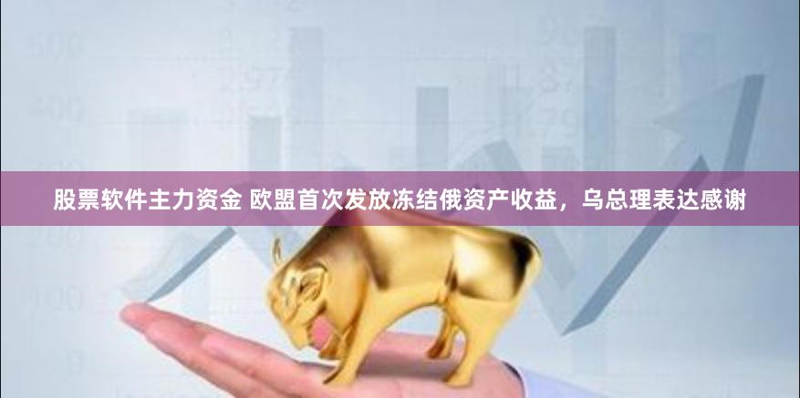 股票软件主力资金 欧盟首次发放冻结俄资产收益，乌总理表达感谢