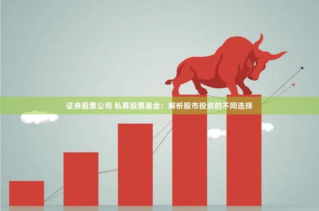 证券股票公司 私募股票基金：解析股市投资的不同选择