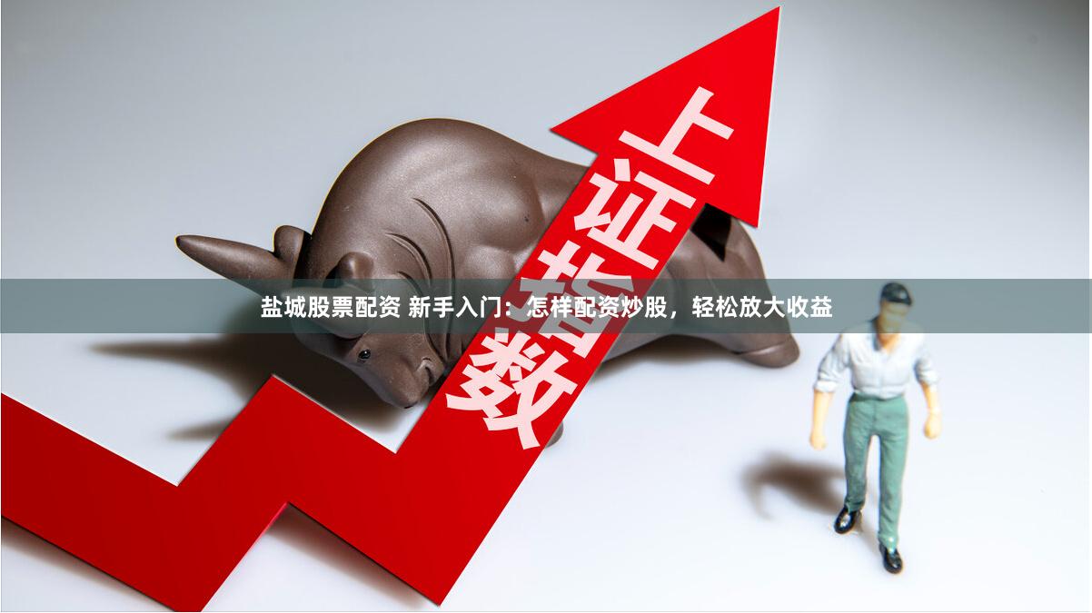 盐城股票配资 新手入门：怎样配资炒股，轻松放大收益