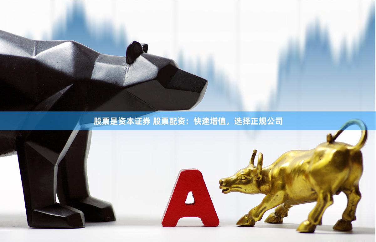 股票是资本证券 股票配资：快速增值，选择正规公司